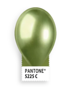 Shiny kiwi